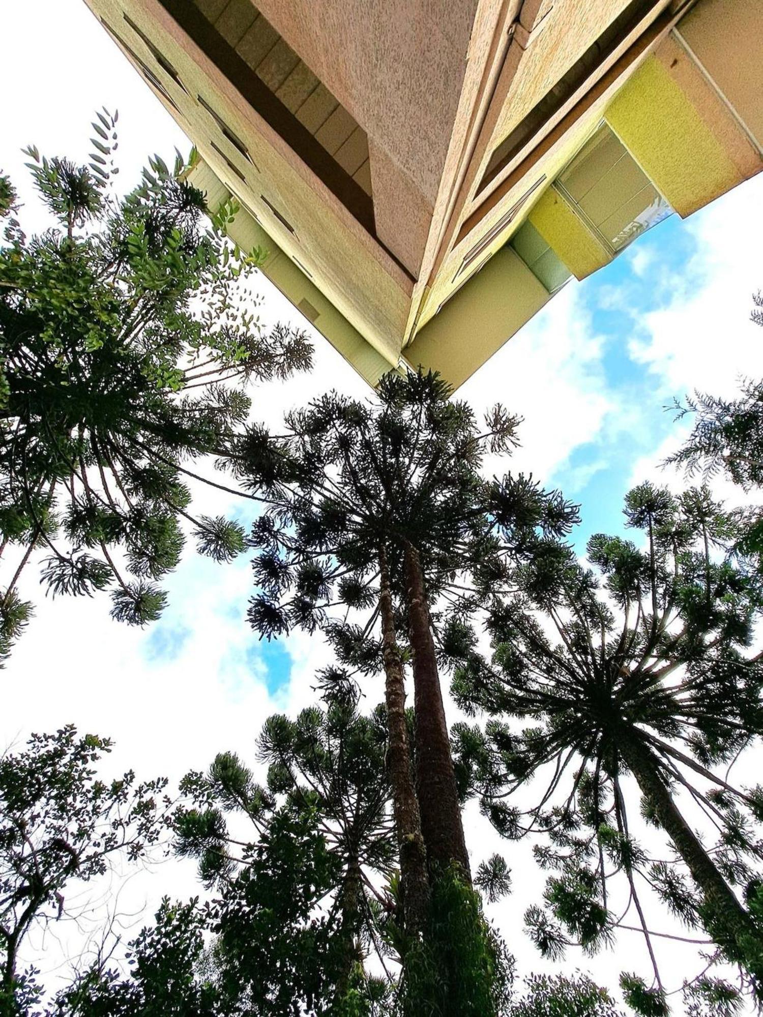 Apartamento Charmoso Com Lareira Campos do Jordão Esterno foto